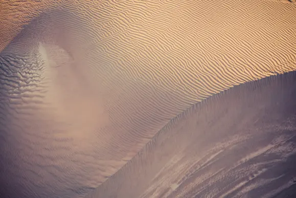 Koi Casino Stuðningur